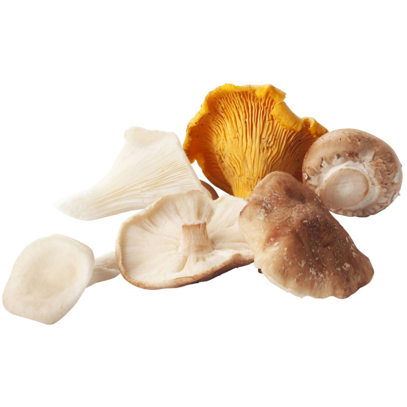 0.5L Bospaddenstoelensoep