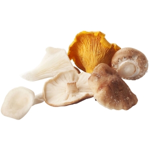 0.5L Bospaddenstoelensoep